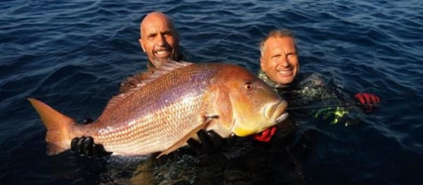 Παγκόσμιο ρεκόρ Έλληνα υποβρύχιου κυνηγού που κτύπησε συναγρίδα... 11 κιλών! (φωτό)